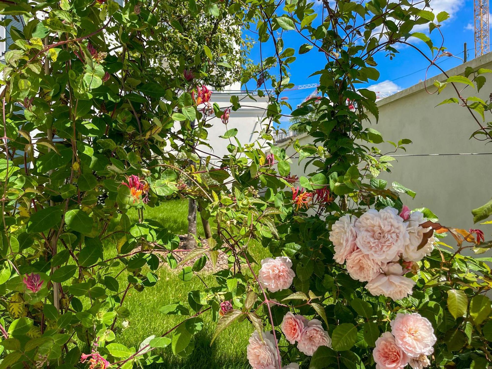 Enjoyable Apartment Disneyland - Rentaway Bnb Serris Exteriör bild